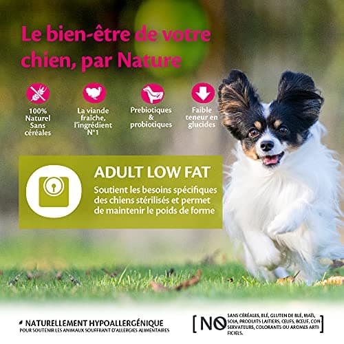Wellness CORE Small Breed Adult Low Fat, Croquettes Chien sans Cereales, pour Chiens de Petite Race, à Haute Teneur en Viande, Dinde, 5 kg - Image 4