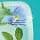 Sanoflore Aqua Magnifica, Organic Purifying Lotion for Combination and Oily Skin, Complex 9 HE and Peppermint, 200 ml - Image 4