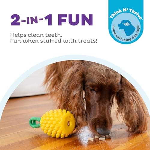 Outward Hound Planet Dog Jouet Dentaire à mâcher en Forme d'ananas et de friandises interactif Durable pour Chien, Jaune - Image 3