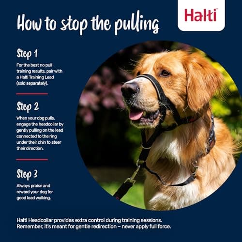 Halti Halter – To Stop Pulling On His Leash, Fully Padded On The Snout, Anti-Pull Collars for Medium Dogs (Size 2, Burnt Orange) - Image 6