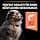 PURINA PRO PLAN | Sensitive Skin | Complete Dry Food for Medium Puppies | Promotes Healthy Skin and Shiny Coat | Salmon | Dry Food | Bag | 12 kg - Image 7