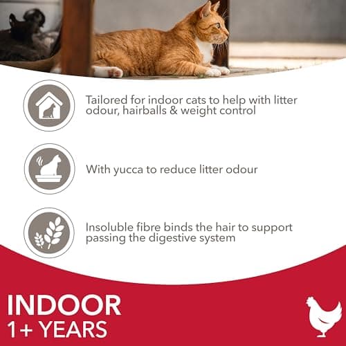 IAMS Advanced Nutrition - Premium Dry Food for Indoor Cats - 100% Complete and Balanced - Tuna - Non-GMO - Artificial Flavour Colouring - Resealable Bag 10 kg - Image 5