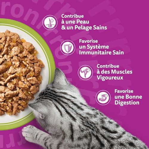 WHISKAS Jelly Food - 48 Freshness Sachets (Pack of 4 Packs 12 x 85g) - The Mixed Card (4 Varieties) - Complete Wet Food Suitable for Sterilized Adult Cats (Packaging May Vary) - Image 8