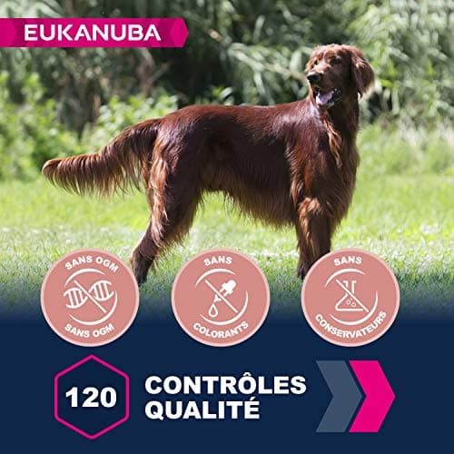 Eukanuba Senior Dog Dry Food for Large Breed Chicken 15 kg - Image 6