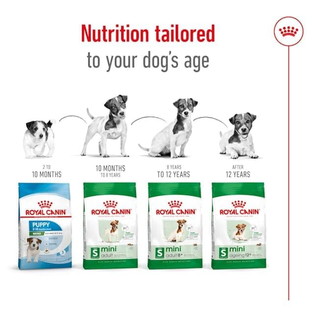 Royal Canin Mini Adult 8+ | 2 kg | Complete Food for Small Dogs (up to 10 kg) in the second half of their life | Ages 8+ | Can help support vitality - Image 8