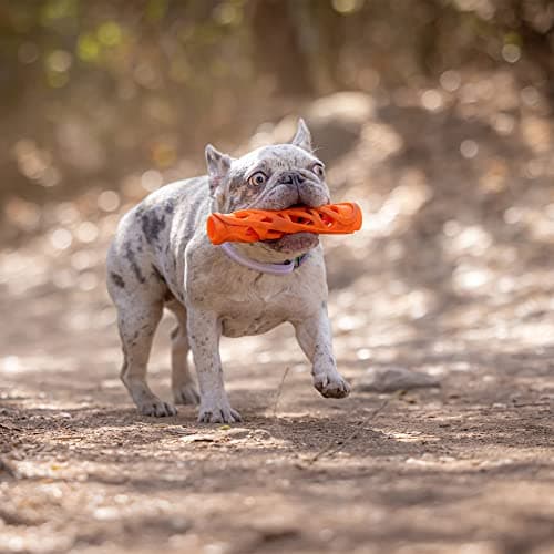 Chuckit! Breathe Right Stick Chasing/Catching Stick for Dogs, Size S - Image 7