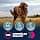 Eukanuba Adult Dog Dry Food For Large Breed Chicken 15 kg - Image 6