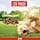 Purina Friskies Active Dry Dog with Beef 9 kg - Image 5