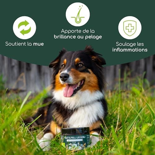 Omega 3 for Dogs - with Salmon Oil, Coconut Oil, Brewer's Yeast | 125 Treats Against Itching - Image 4