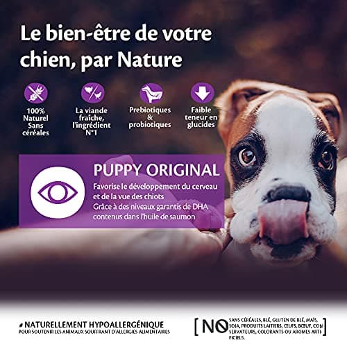 Wellness CORE Puppy 10 kg, Chicken/Turkey - Small / Medium Puppy Food Grain Free Natural Hypoallergenic High Protein High Meat Eye & Brain Develops - Image 4