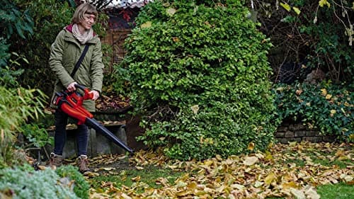 Einhell GE-CL 36/230 Li E-Solo Power X-Change Cordless Leaf Blower Vacuum (36V, Turbo Mode, with Suction Tube and Blow Tube) Delivered without Battery or Charger - Image 5