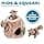 Outward Hound Dog Brain Teaser - Squirrel Hide and Seek, Small - Image 5