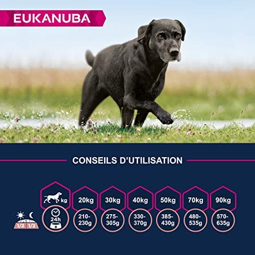 Eukanuba Senior Dog Dry Food for Large Breed Chicken 15 kg - Image 7