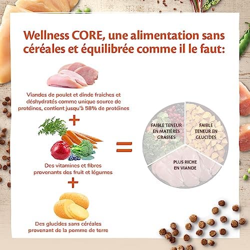 Wellness CORE Kitten 1.75 kg, Chicken/Turkey – Cereal Free, Natural, Hypoallergenic, High Protein, High Meat Content, Eye & Brain Develop - Image 5