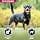 Eukanuba Dog Dry Food Rottweiler Chicken 12 kg - Image 6