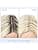 COLOR WOW Root Root Cover Up Platinum / Light Blonde - Image 4