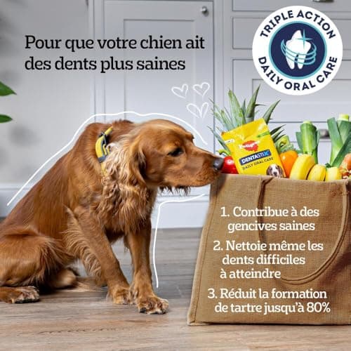 Pedigree DENTASTIX 56 Bâtonnets à Mâcher pour Grand Chiens 25kg+, 8 Sachets de 7, Saveur Poulet et Bœuf, Détartrage Dentaire Chien, Soins Dentaires pour Chien - Image 6