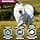 Eukanuba Adult Dog Dry Food For Small and Medium Breed Lamb&Rice 2.5kg - Image 7