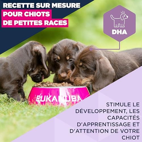 EUKANUBA Life Care Small Breed Puppy Food 1 to 12 Months, Rich in Fresh Chicken, Optimal Growth - DHA, Calcium, Omega 3&6, FOS Prebiotics, No Dyes, Artificial Flavours or GMOs - 3kg - Image 4