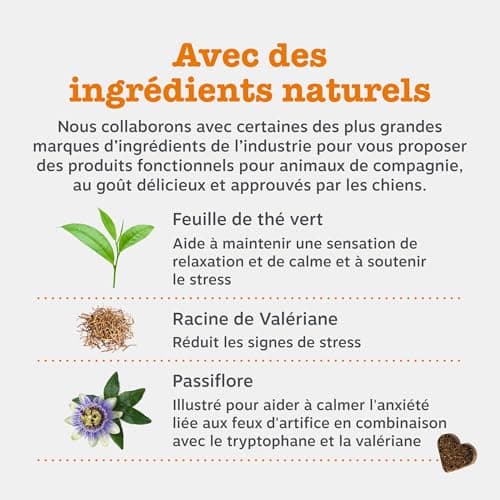 Zesty Paws Calming - Complément pour Chien sous Forme de friandise - Anti Stress - calmant - Hyperactivité - Ashwagandha, Thé Vert et L-Tryptophane - 90 Unités - Image 6