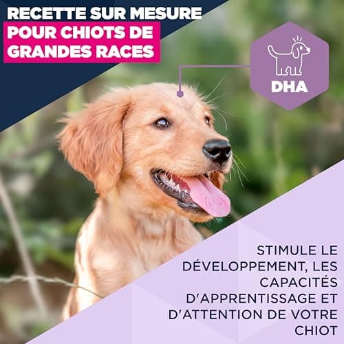 EUKANUBA Life Care Puppy/Junior Large Breed Food 1 to 18 Months, Giant Breed 1 to 24 Months, Rich in Lamb & Rice, DHA, Calcium, Omega 3&6, FOS, MOS, No Dyes, Artificial Flavours or GMOs - 12kg - Image 4