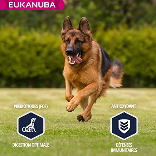Eukanuba Dog Dry Food German Shepherd Chicken 12 kg - Image 5