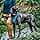 Kurgo K01940 Dog Harness for Small/Medium/Large Reflective for Footing Walking/Hiking Journey Air Style - Image 7