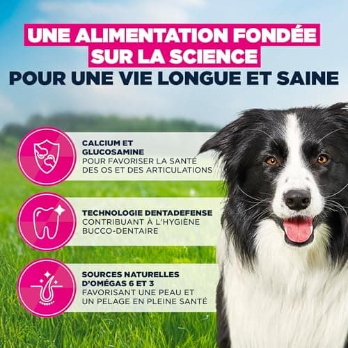EUKANUBA Life Care Croquettes Chien Mature Moyenne Race 7 à 10 Ans, Riche en Poulet Frais, L-carnitine, Calcium, Glucosamine, Oméga 3&6, Prébiotiques, sans colorants, arômes artificiels ni OGM - 15 kg - Image 6