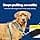 PetSafe : 3 in 1 Dog Harness and Restraint Device - Image 4