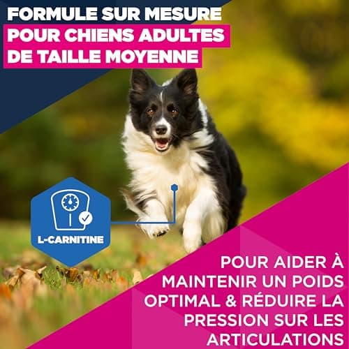 EUKANUBA Life Care Croquettes Chien Mature Moyenne Race 7 à 10 Ans, Riche en Poulet Frais, L-carnitine, Calcium, Glucosamine, Oméga 3&6, Prébiotiques, sans colorants, arômes artificiels ni OGM - 15 kg - Image 5
