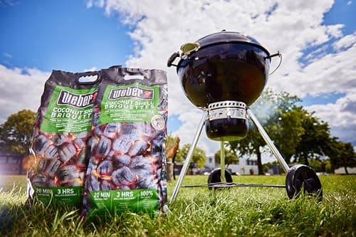 Weber Coconut Briquettes 8 kg Black - Image 6