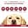 Advantix ® Spot On for Dogs Over 10 kg to 25 kg – 4 Pipettes of 2 ml – ... - Image 3