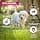 Eukanuba Dog Grain Free Puppy L Chicken 12 kg - Image 5