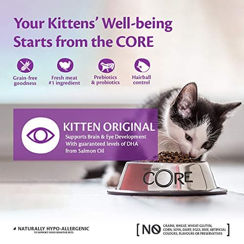 Wellness CORE Kitten 1.75 kg, Chicken/Turkey – Cereal Free, Natural, Hypoallergenic, High Protein, High Meat Content, Eye & Brain Develop - Image 4