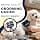 flexible double sided poodle brush dog brush for gilding and labradoodles soft detangling brush for dogs Labrador dog hair brush dog hair brush - Image 4