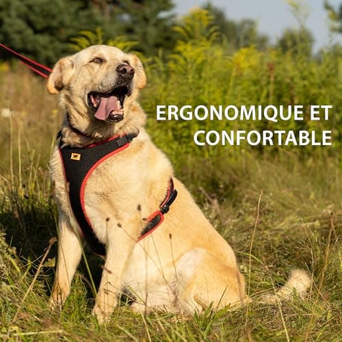 Ferplast Ergocomfort S Padded Harness - Neck 32 cm / 42 cm - Chest 46 cm / 56 cm - Red - Image 5