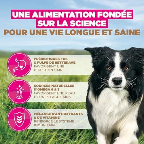 Eukanuba Croquettes Premium sans Céréales pour Chien Adulte de Grande Race – Riche en Poulet - Hypoallergénique – Glucosamine Calcium - Sac de 12 kg - Image 8