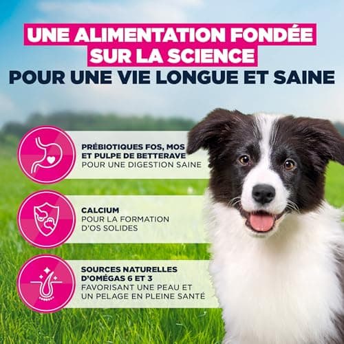 EUKANUBA Life Care Medium Breed Puppy Food 1 to 12 Months, Rich in Fresh Chicken, Optimal Growth - DHA, Calcium, Omega 3&6, FOS Prebiotics, No Dyes, Artificial Flavours or GMOs - 15kg - Image 5