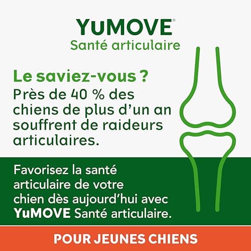 YuMOVE Osteoarthritis for Dogs - Joint Supplement for Young Dogs - 60 Tablets - Joint Support for Active Dogs Containing Green Mussels, Glucosamine, Chondroitin for Agility - Image 5