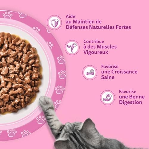 WHISKAS Junior Kitten Meal, Cat Bag, Pack of 84 85g Fresh Sachets, 4 Varieties in Sauce, Complete and Balanced Wet Kitten Food - Image 7