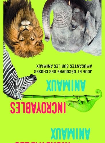 Clementoni | Incredible Animals | Educational Card Game 6+ | 50 Illustrated Cards | 6 Game Modes | Observation, Reflexes, Memory | Compact Size | Children's Board Game - Image 4