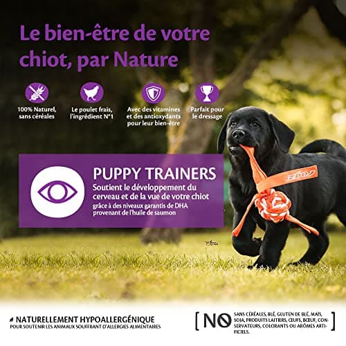 Wellness CORE Training Treats 170 g, Chicken/Carrots - Puppy Treats, Grain Free, Natural, Hypoallergenic, High Protein, High Meat Content, Perfect for Learning - Image 3