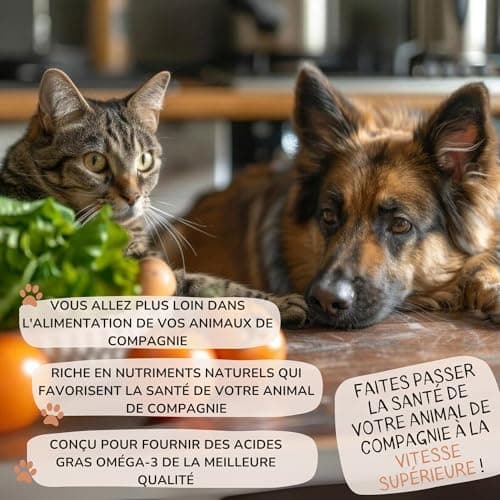 Salmon Oil for Dogs to Strengthen the Immune System, Dog Joint and Healthy Skin, Salmon Oil for Cats Naturally Enriched with Omega 3, 6, EPA and DHA - Image 7