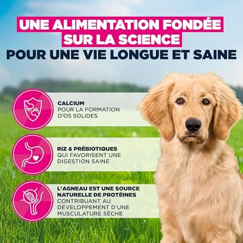 EUKANUBA Life Care Puppy/Junior Large Breed Food 1 to 18 Months, Giant Breed 1 to 24 Months, Rich in Lamb & Rice, DHA, Calcium, Omega 3&6, FOS, MOS, No Dyes, Artificial Flavours or GMOs - 12kg - Image 5