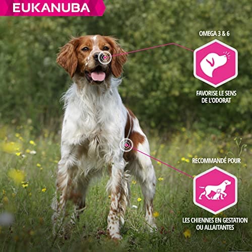 Eukanuba Daily CareWork & Endurance Chicken 15 kg - Image 5
