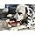 Nylabone Chewing Bone and Dental Toy for Aggressive Chewers, Double-Ended Bones, Bacon Flavour - Medium - Fits Medium Dogs up to 16 kg - Image 4