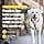 PetSafe 3 in 1 Harness with Two-Point Control Lead - Anti-Pull Harness - S - Black - Adjustable - Image 3
