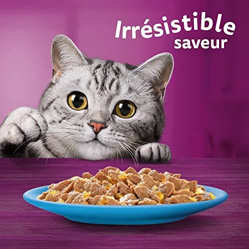 WHISKAS Cat Meal - 48 Freshness Sachets (Pack of 4 Packs 12 x 85g) - Favorite Fish (4 Varieties) - Food for Adult Cats in Jelly - Image 4