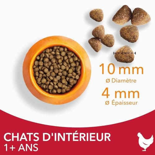 IAMS Advanced Nutrition Premium Dry Food for Indoor Cats – 100% Complete and Balanced – Tuna – Non-GMO Artificial Flavours – Resealable Bag 3 kg - Image 5