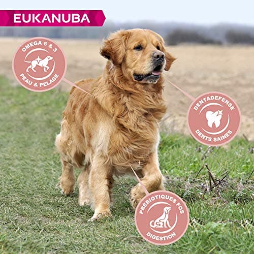 Eukanuba Senior Dog Dry Food for Large Breed Chicken 15 kg - Image 4
